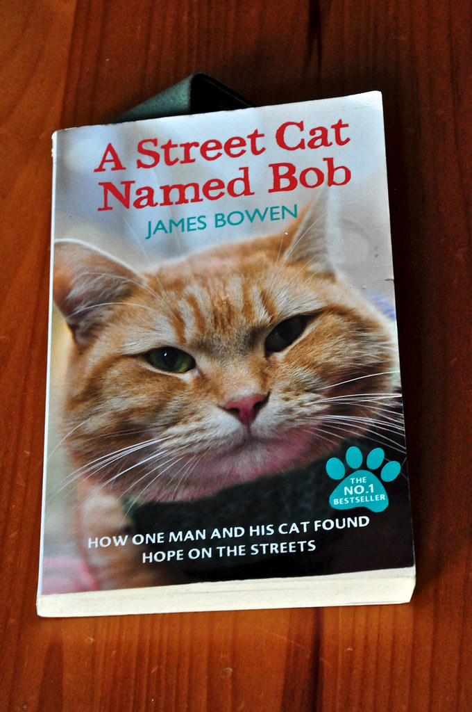 Street Cat Named Bob Image
